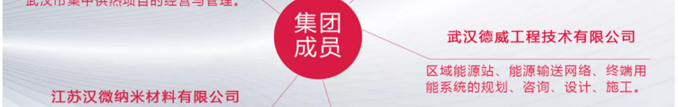 武漢德威工程技術(shù)有限公司